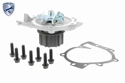 Water Pump, engine cooling VAICO V95-50006