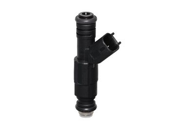 Injector VALEO 348207