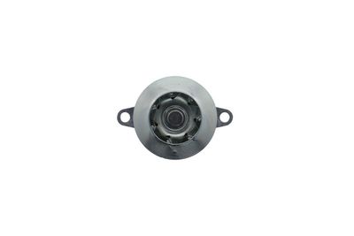 Water Pump, engine cooling VALEO 529706