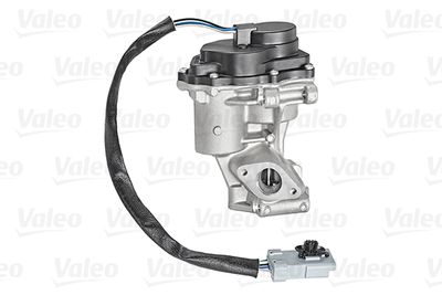 EGR Valve VALEO 700421