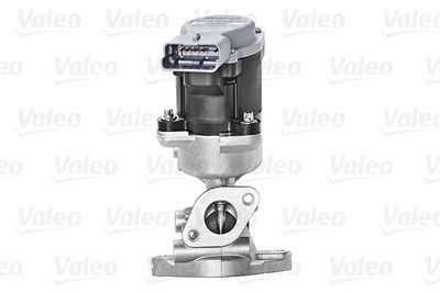 EGR Valve VALEO 700423