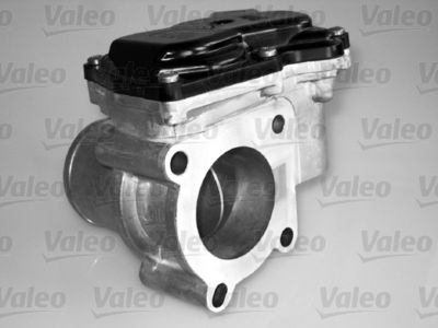 Throttle Body VALEO 700431