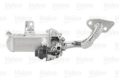 EGR Module VALEO 700453