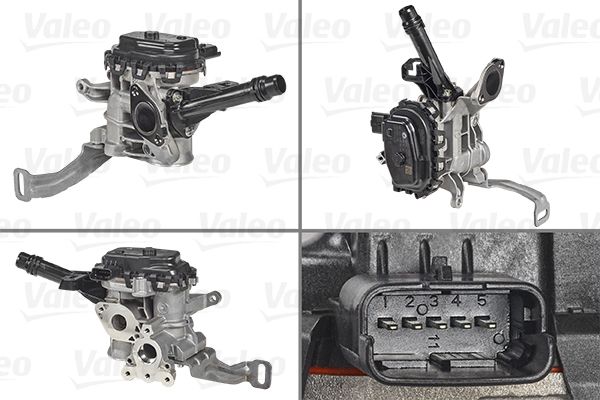 VALEO 700455 EGR Valve