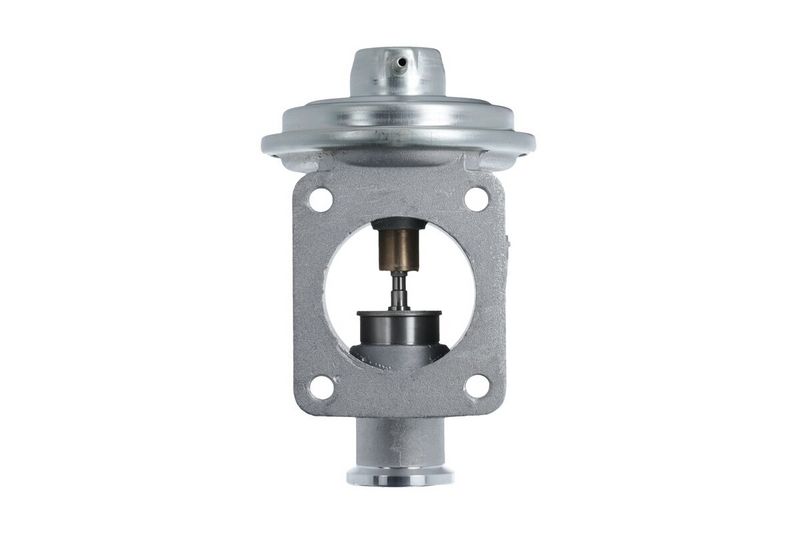 VALEO 703239 EGR Valve