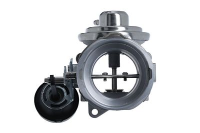 EGR Valve VALEO 703263