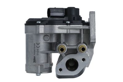 EGR Valve VALEO 703267