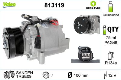 Compressor, air conditioning VALEO 813119
