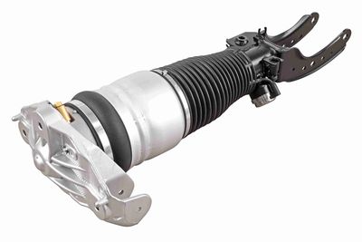 Air Suspension Strut VEMO V10-50-0002