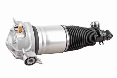 Air Suspension Strut VEMO V10-50-0003