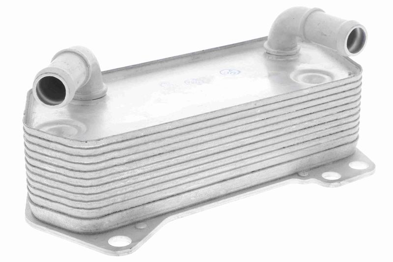 VEMO V10-60-0008 Oil Cooler, engine oil