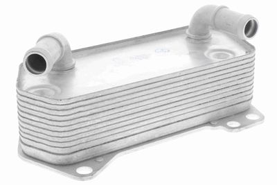 Oil Cooler, engine oil VEMO V10-60-0008