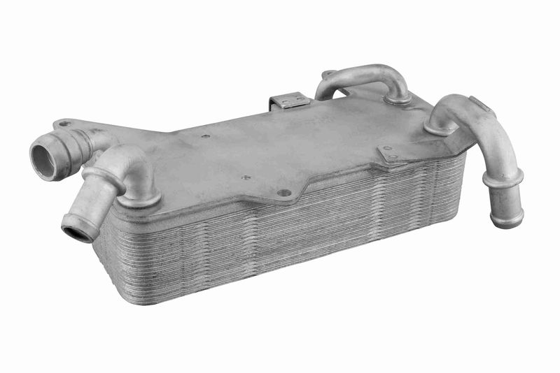 VEMO V10-60-0044 Oil Cooler, automatic transmission