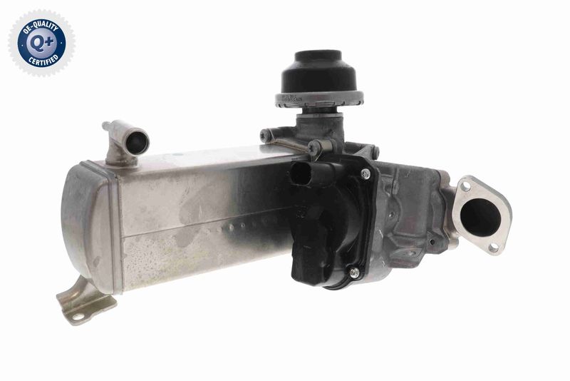 VEMO V10-63-0119 EGR Valve
