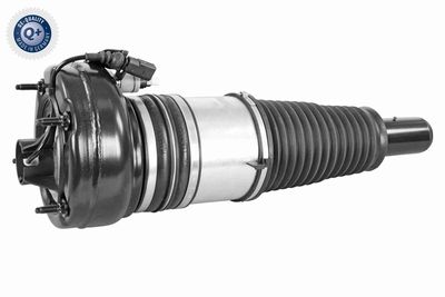 Air Suspension Strut VEMO V15-50-0004