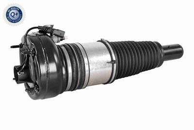 Air Suspension Strut VEMO V15-50-0015