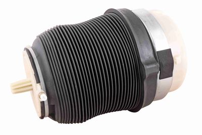 Air Suspension Strut VEMO V15-50-0021-1