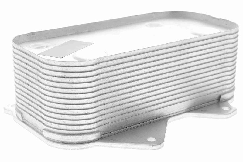 VEMO V15-60-0010 Oil Cooler, engine oil