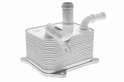 Oil Cooler, engine oil VEMO V15-60-0013