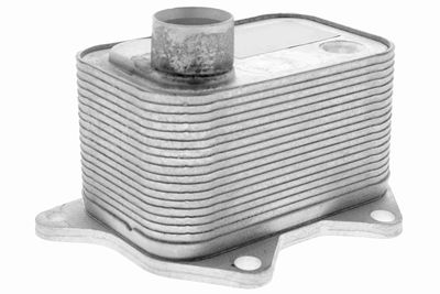 Oil Cooler, engine oil VEMO V15-60-0015