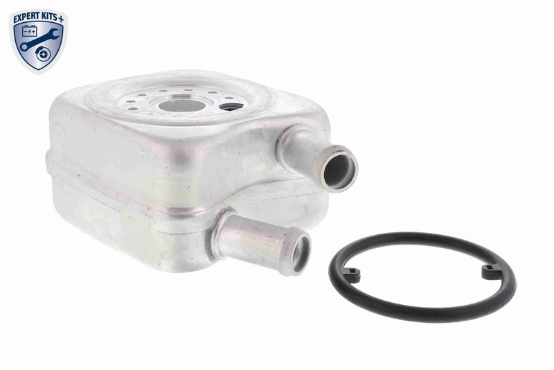 VEMO V15-60-6010 Oil Cooler, engine oil