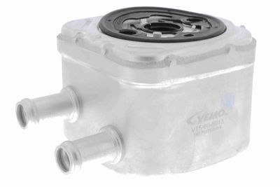 Oil Cooler, engine oil VEMO V15-60-6013