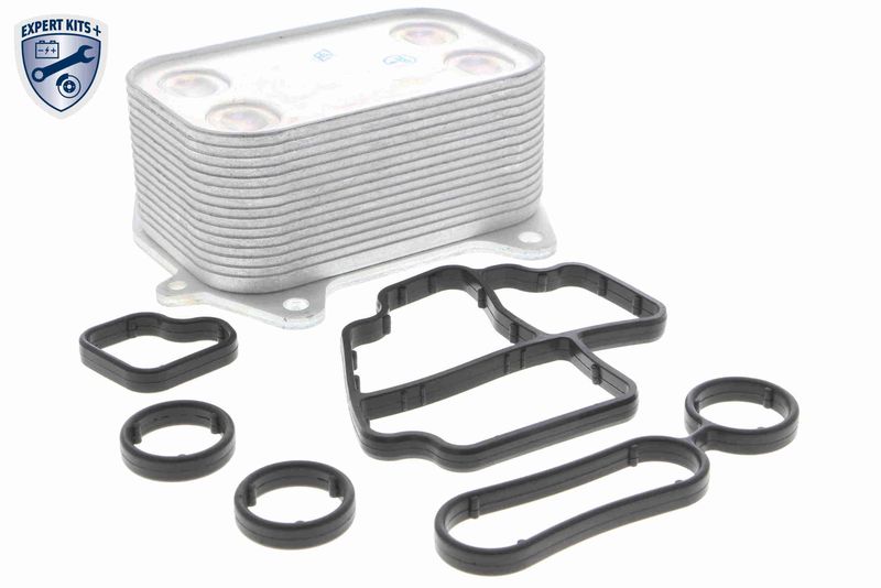 VEMO V15-60-6061 Oil Cooler, engine oil