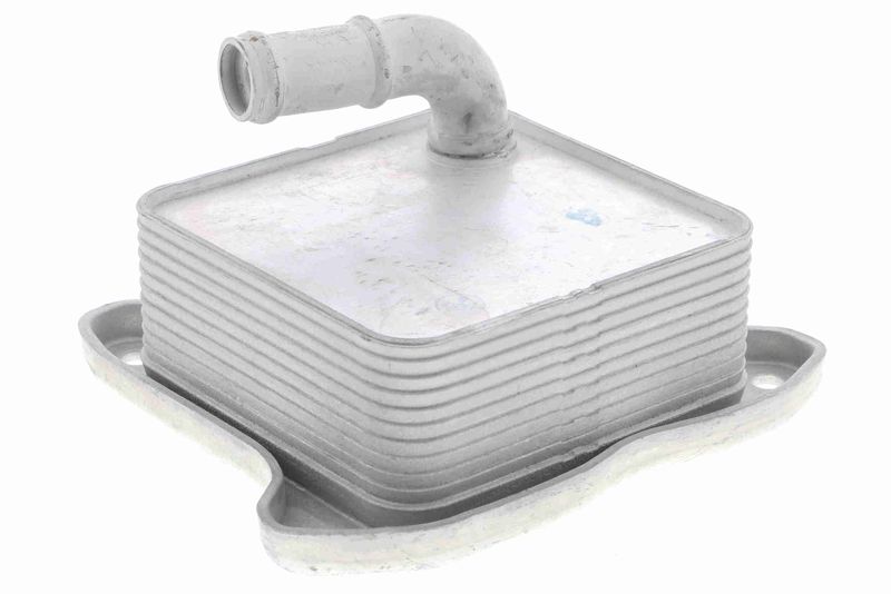 VEMO V15-60-6062 Oil Cooler, engine oil