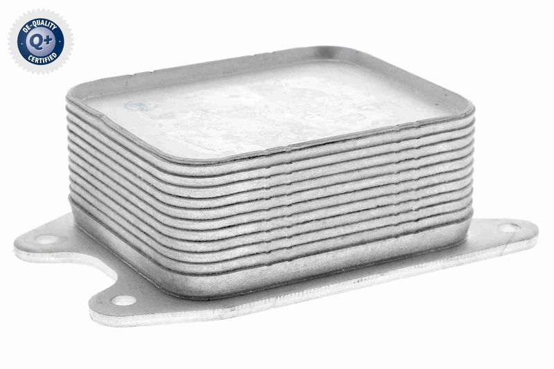 VEMO V15-60-6065 Oil Cooler, engine oil