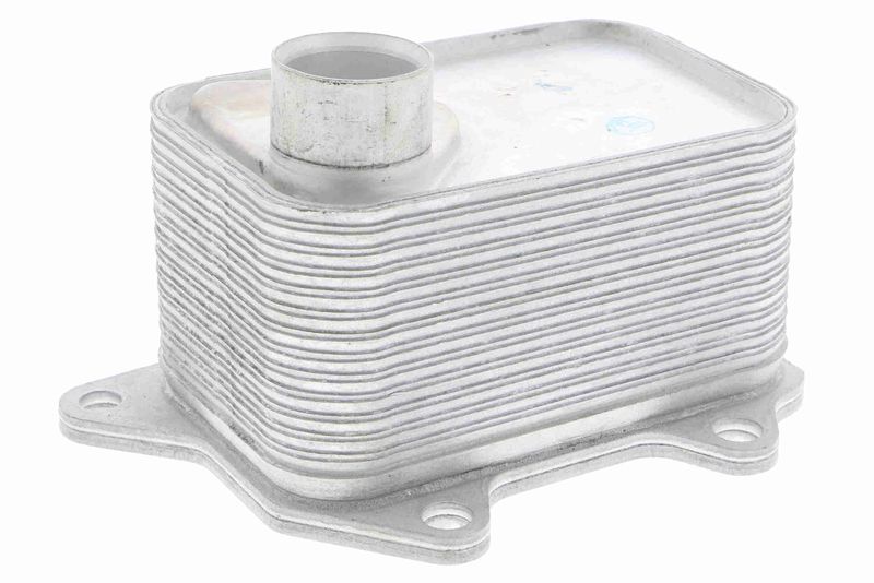 VEMO V15-60-6068 Oil Cooler, engine oil