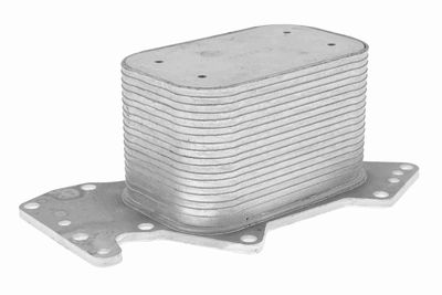 Oil Cooler, engine oil VEMO V15-60-6069