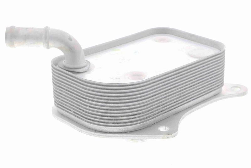 VEMO V15-60-6071 Oil Cooler, engine oil