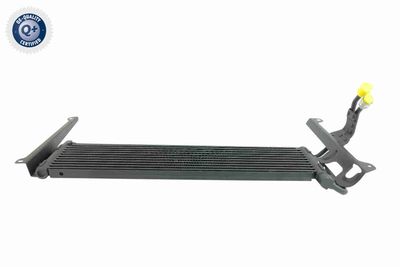 Oil Cooler, engine oil VEMO V15-60-6076