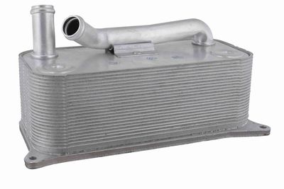 Oil Cooler, engine oil VEMO V15-60-6085