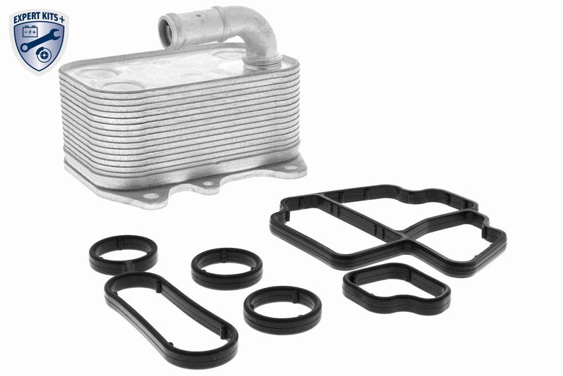 VEMO V15-60-6089 Oil Cooler, engine oil