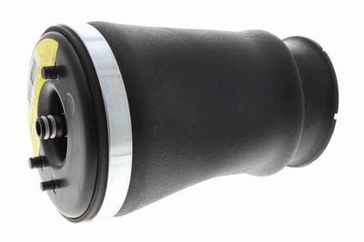 Air Suspension Strut VEMO V20-50-0020-1