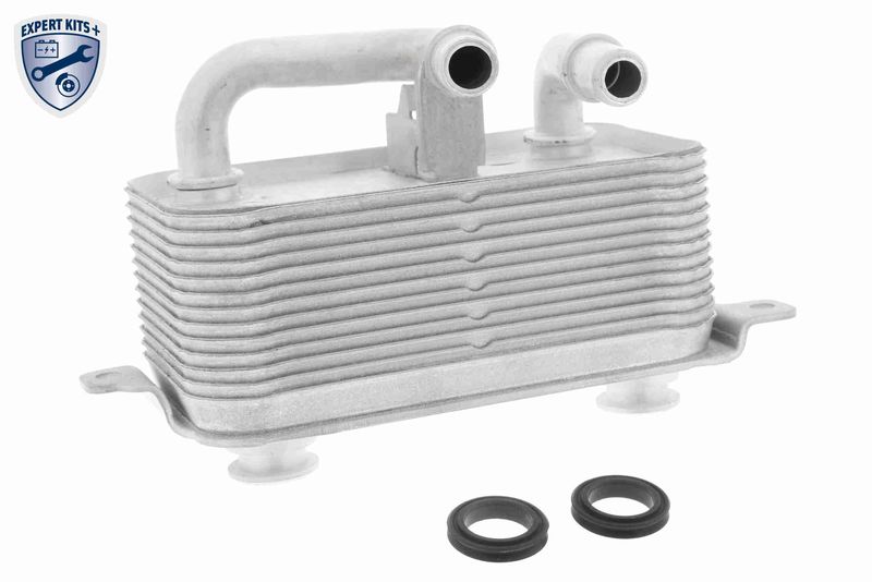 VEMO V20-60-0001 Oil Cooler, engine oil