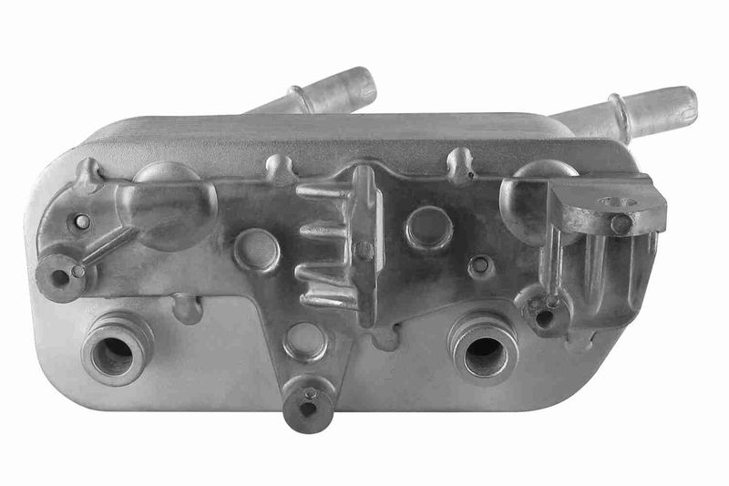 VEMO V20-60-0004 Oil Cooler, engine oil