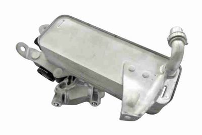 Oil Cooler, engine oil VEMO V20-60-0010