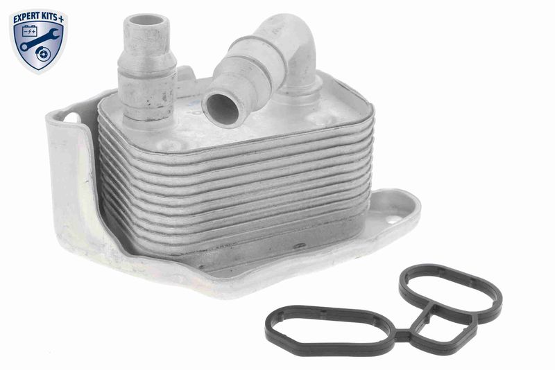 VEMO V20-60-0031 Oil Cooler, engine oil