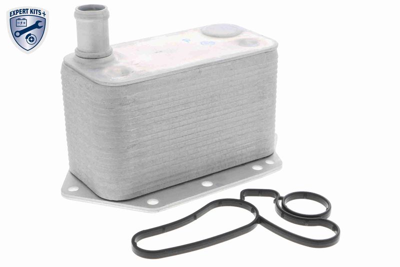 VEMO V20-60-0042 Oil Cooler, engine oil