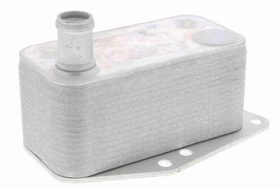 Oil Cooler, engine oil VEMO V20-60-0043