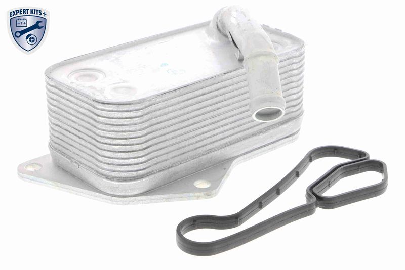 VEMO V20-60-0045 Oil Cooler, engine oil