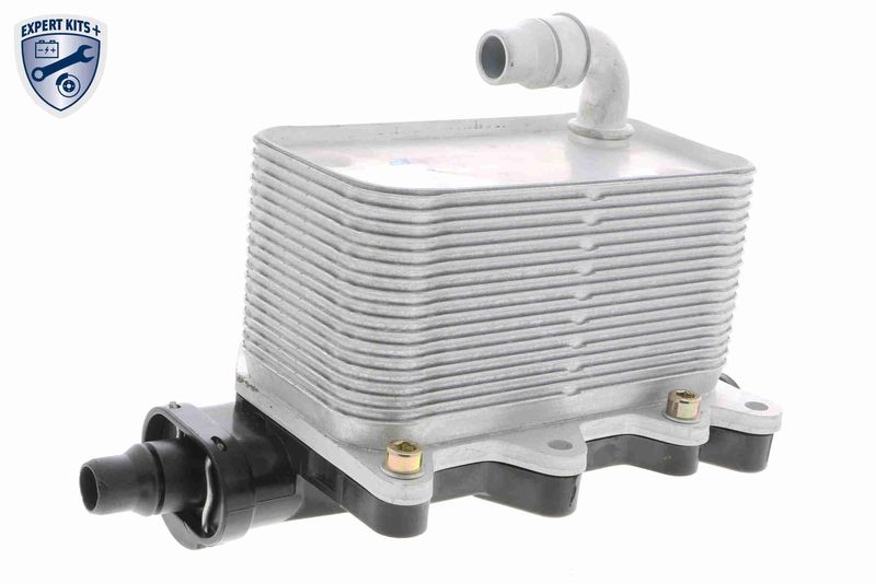 VEMO V20-60-0046 Oil Cooler, engine oil