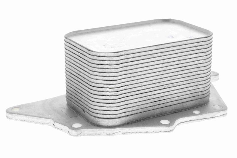 VEMO V20-60-0048 Oil Cooler, engine oil
