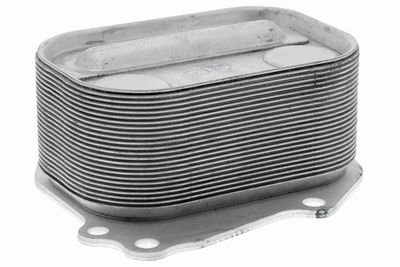 Oil Cooler, engine oil VEMO V20-60-0049