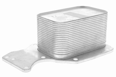 Oil Cooler, engine oil VEMO V20-60-0055