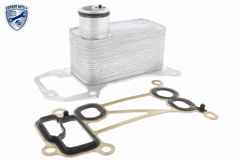 VEMO V20-60-0056 Oil Cooler, engine oil