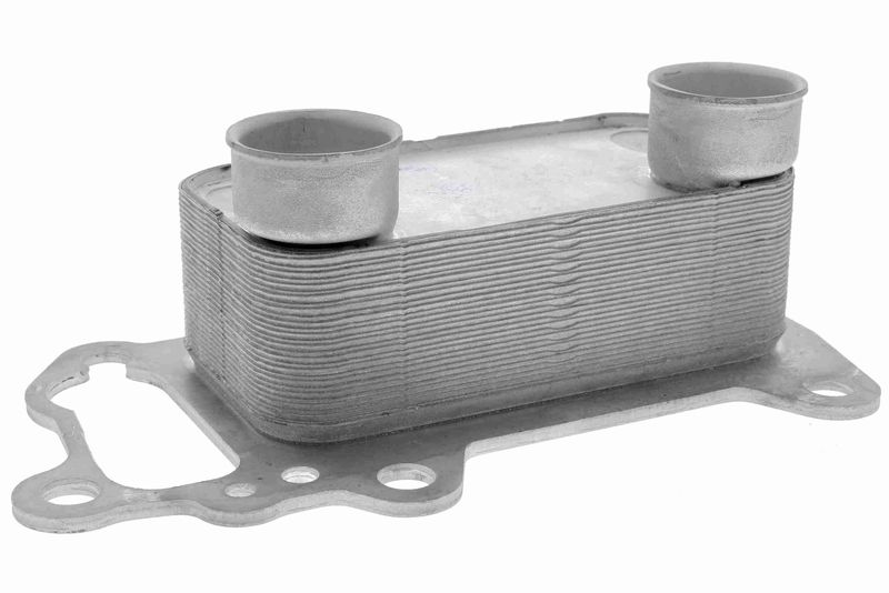 VEMO V20-60-0061 Oil Cooler, engine oil