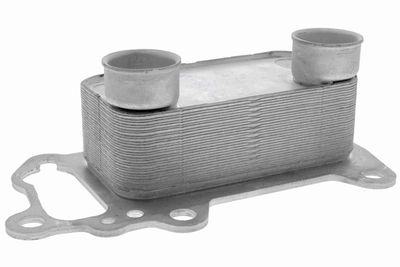 Oil Cooler, engine oil VEMO V20-60-0061